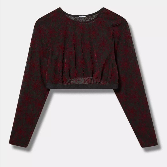 Torrid Flocked Mesh Long Sleeve Top Spider Webs Halloween Cropped Spooky - Picture 1 of 7